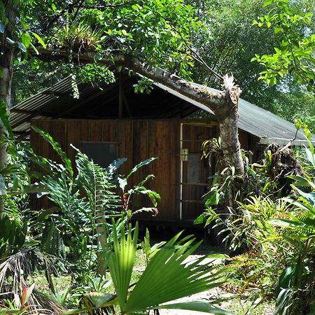 Hakuna Matata Amazon Lodge Archidona Εξωτερικό φωτογραφία