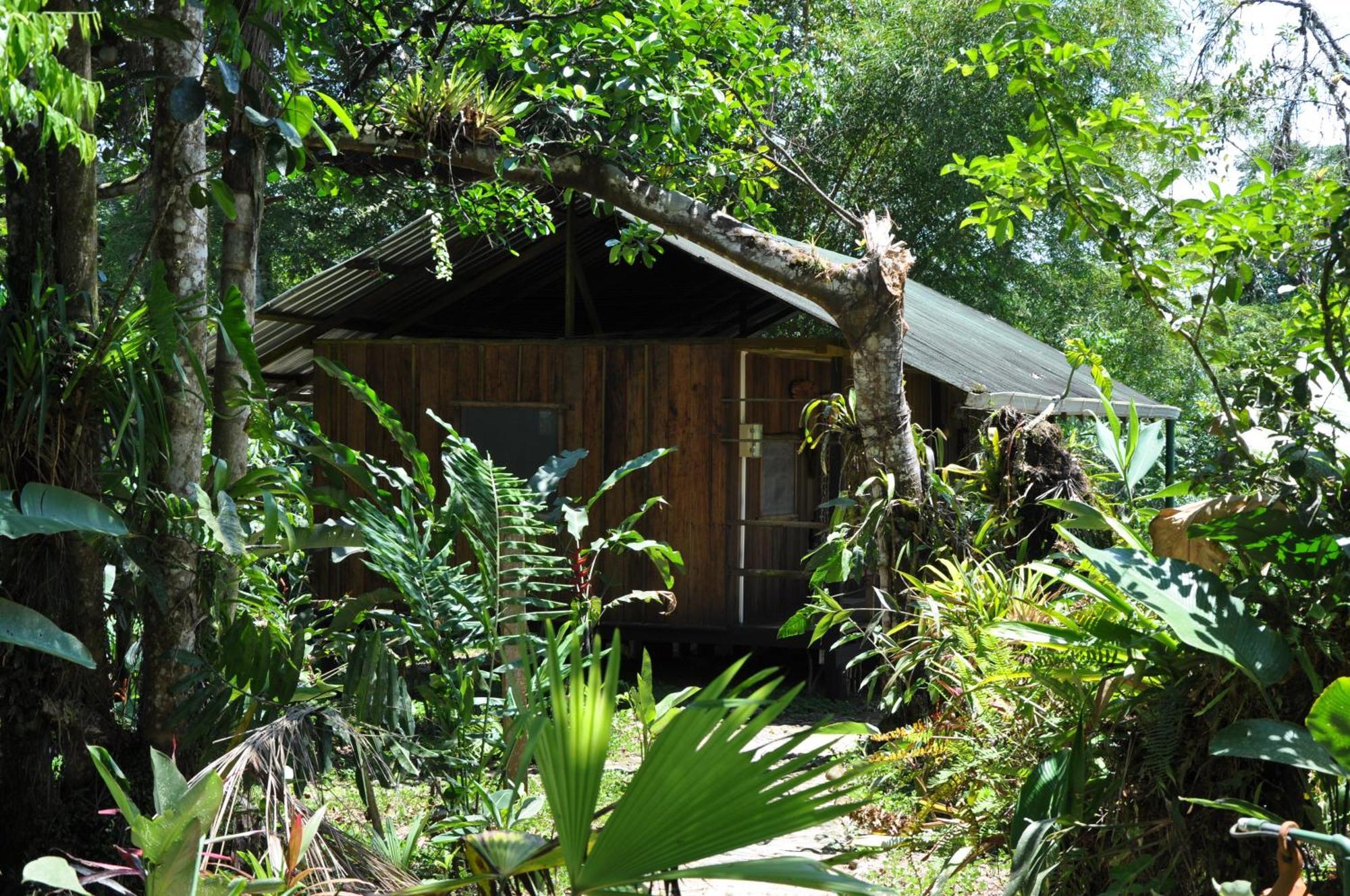 Hakuna Matata Amazon Lodge Archidona Εξωτερικό φωτογραφία