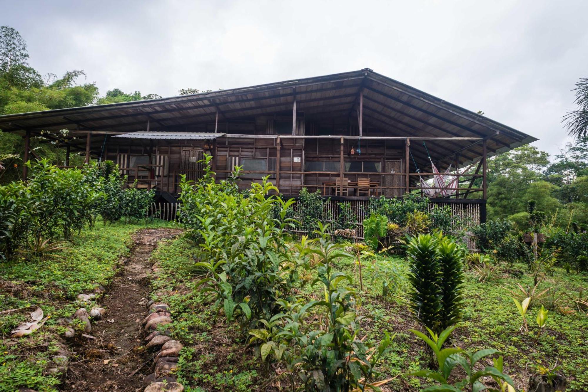 Hakuna Matata Amazon Lodge Archidona Δωμάτιο φωτογραφία