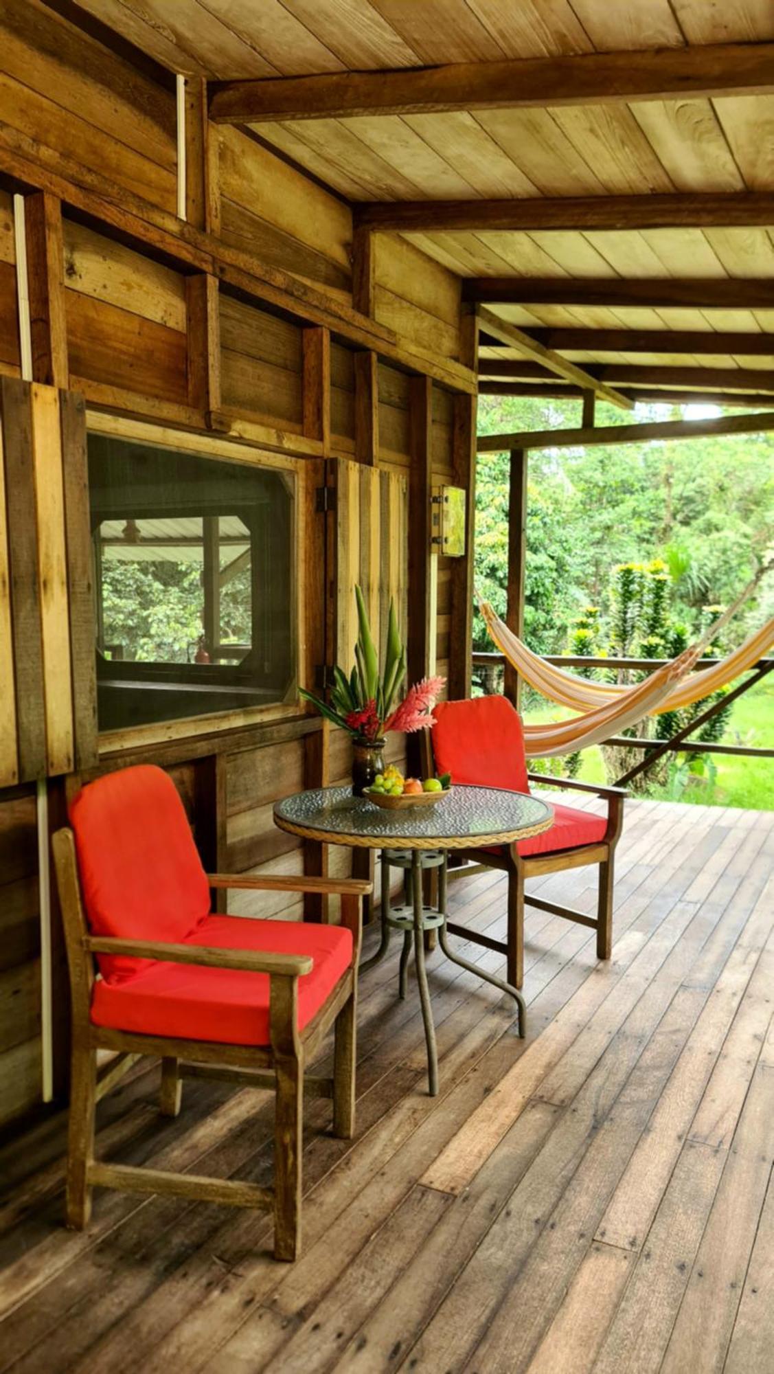 Hakuna Matata Amazon Lodge Archidona Εξωτερικό φωτογραφία