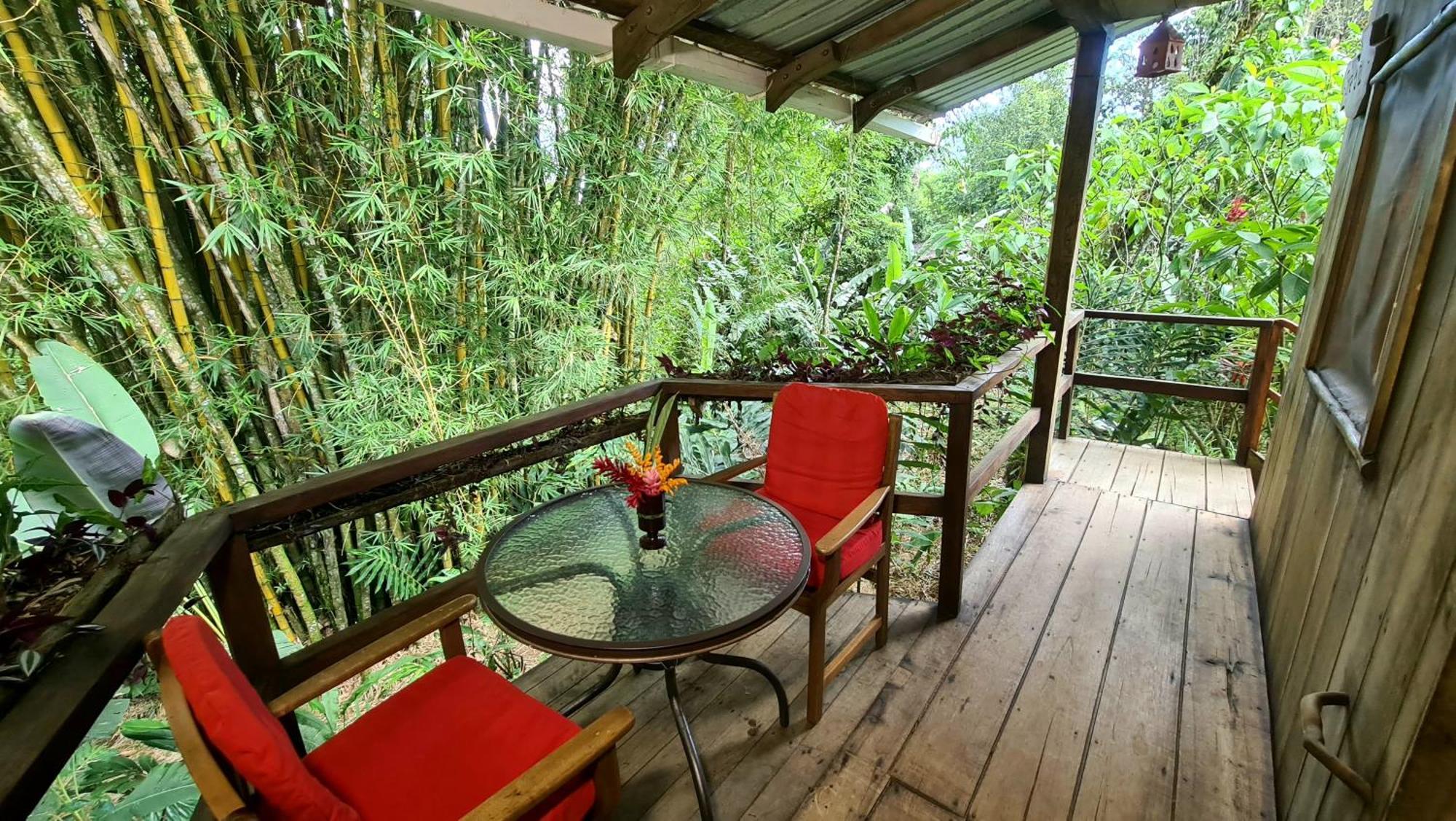 Hakuna Matata Amazon Lodge Archidona Εξωτερικό φωτογραφία
