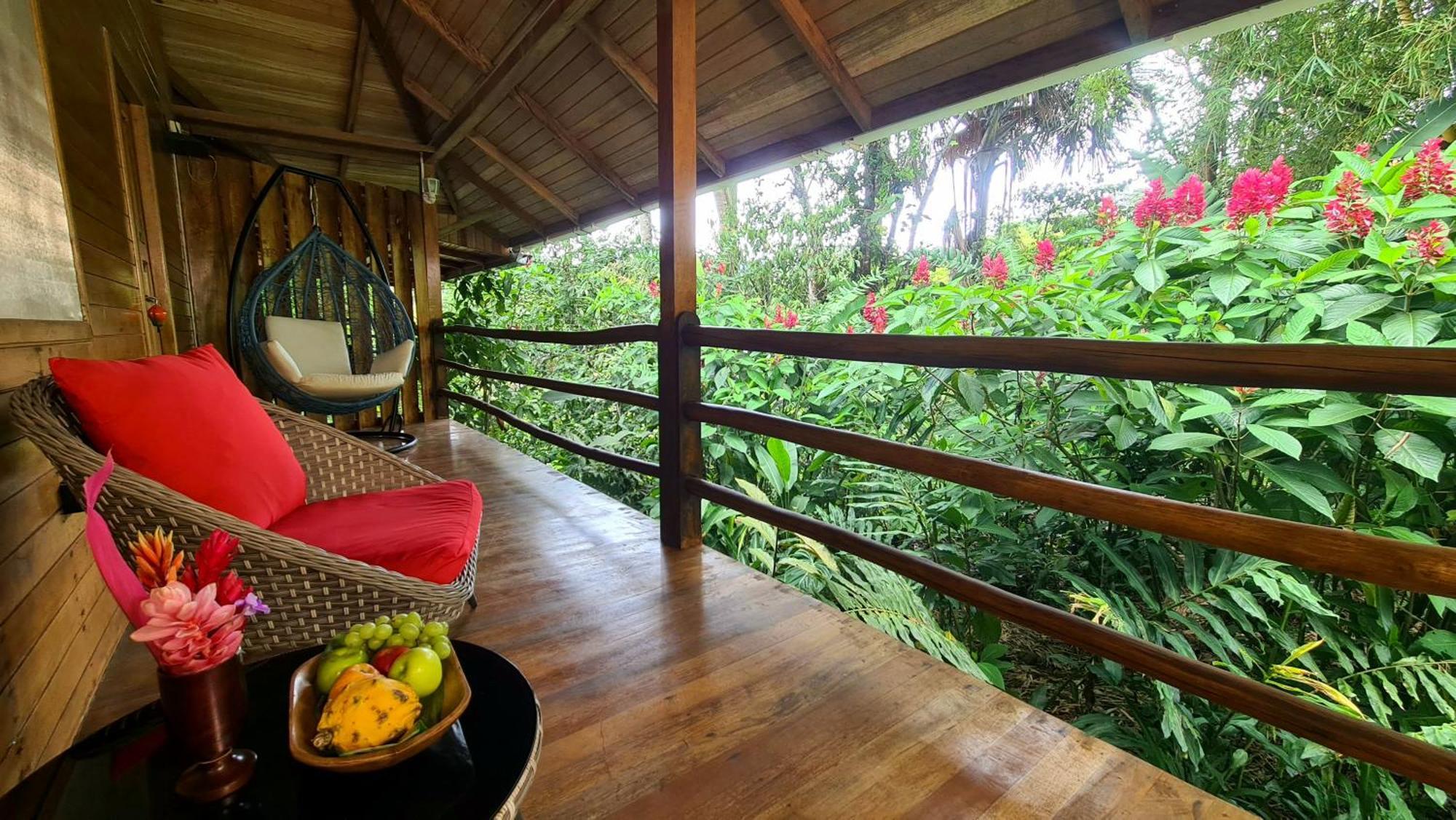 Hakuna Matata Amazon Lodge Archidona Εξωτερικό φωτογραφία